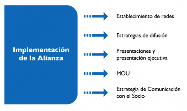 Implementación de la Alianza Estratégica